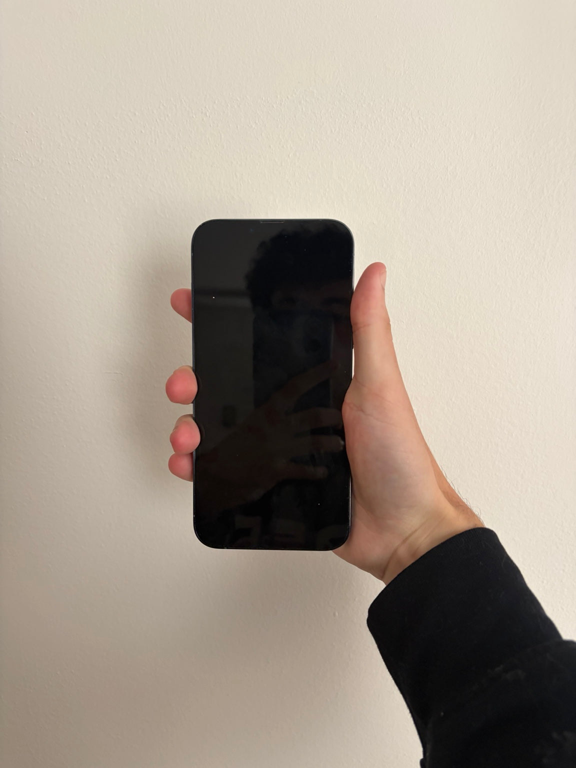 iPhone 13 Pro Max Sierra Blue front screen condition