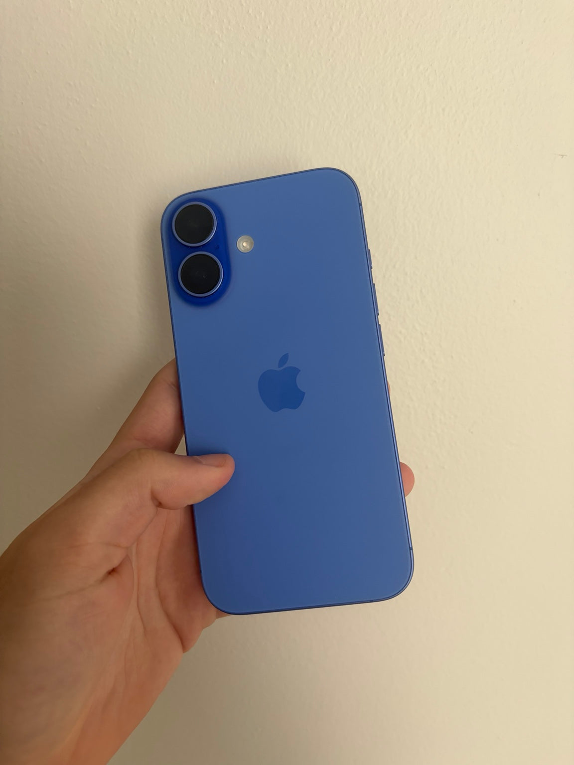 iPhone 16 512GB Blue rear view