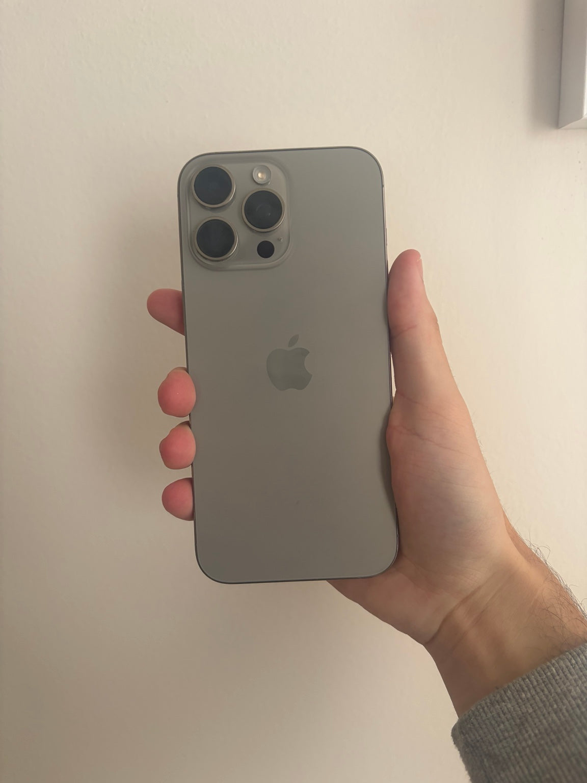 iPhone 16 Pro Max Natural Titanium back condition